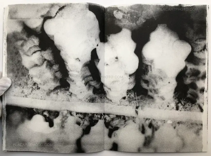 Sergej Vutuc – CISTA ZONA / CLEAN ZONE (Signed)