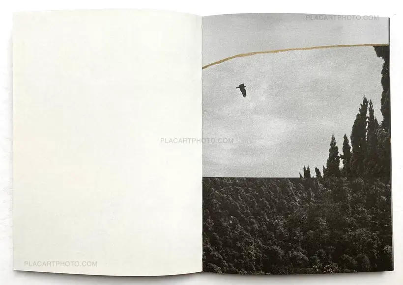 Margaret Lansink – BORDERS OF NOTHINGNESS- ON THE MEND (SIGNED)