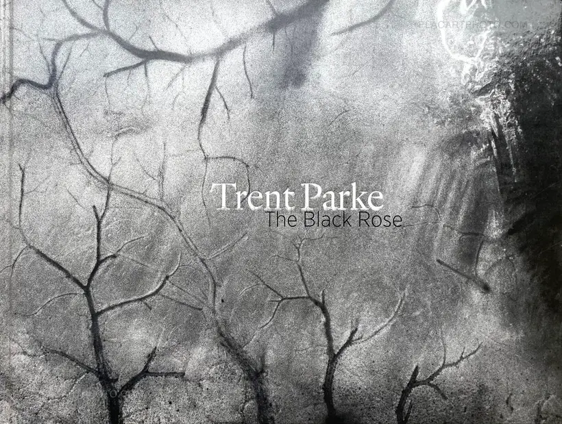 Trent Parke – The Black Rose