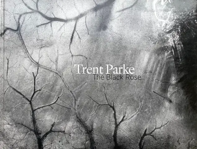 Trent Parke – The Black Rose
