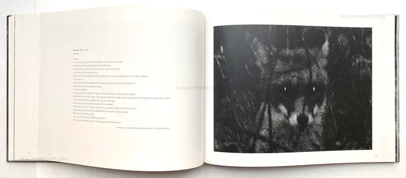 Trent Parke – The Black Rose