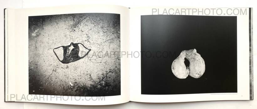 Trent Parke – The Black Rose