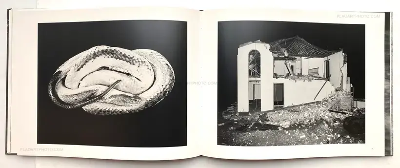 Trent Parke – The Black Rose