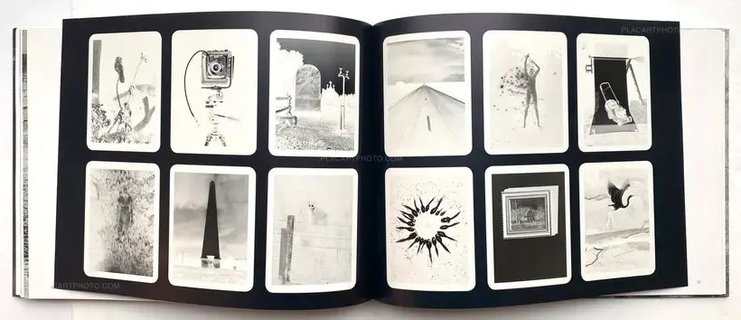 Trent Parke – The Black Rose