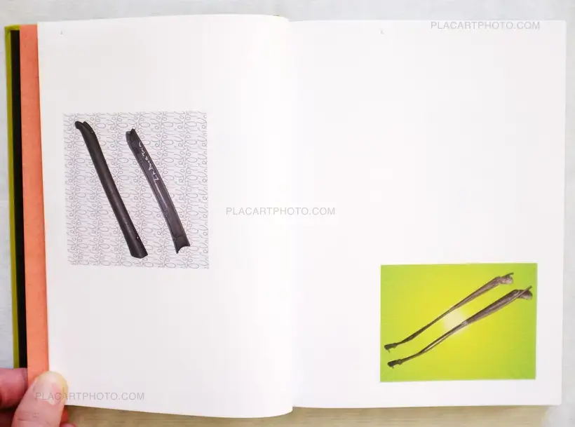 Luciano Rigolini – Surrogates