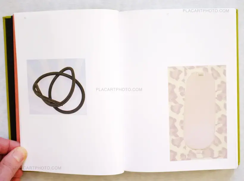Luciano Rigolini – Surrogates
