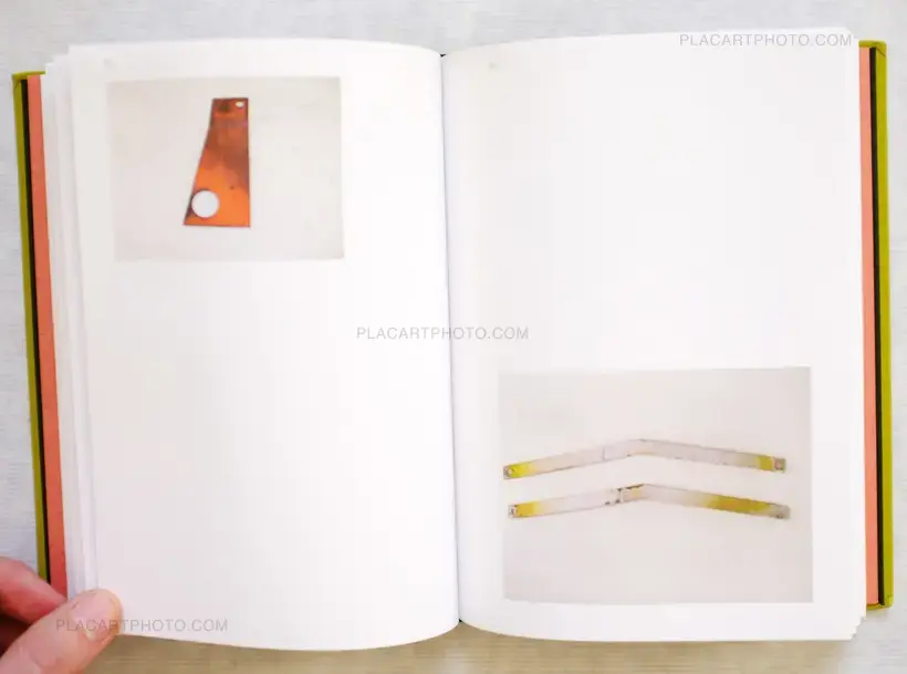 Luciano Rigolini – Surrogates