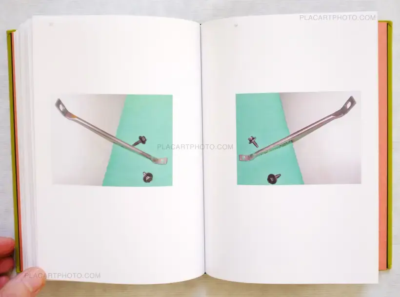 Luciano Rigolini – Surrogates