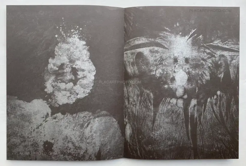 Reiner Riedler – Sweat (Signed and numbered)