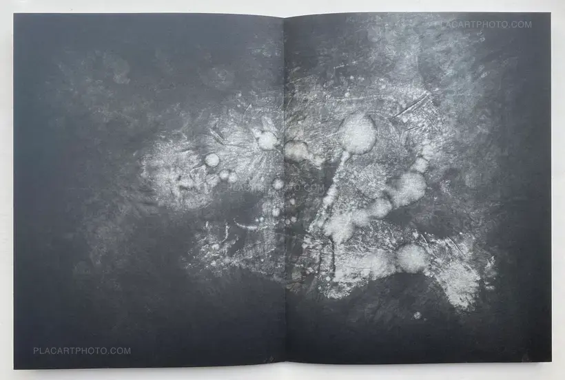 Reiner Riedler – Sweat (Signed and numbered)