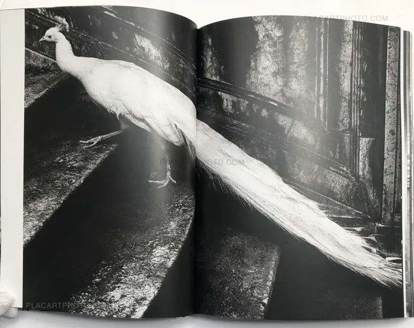 Joakim Kocjancic – Europea (Special edition with print)