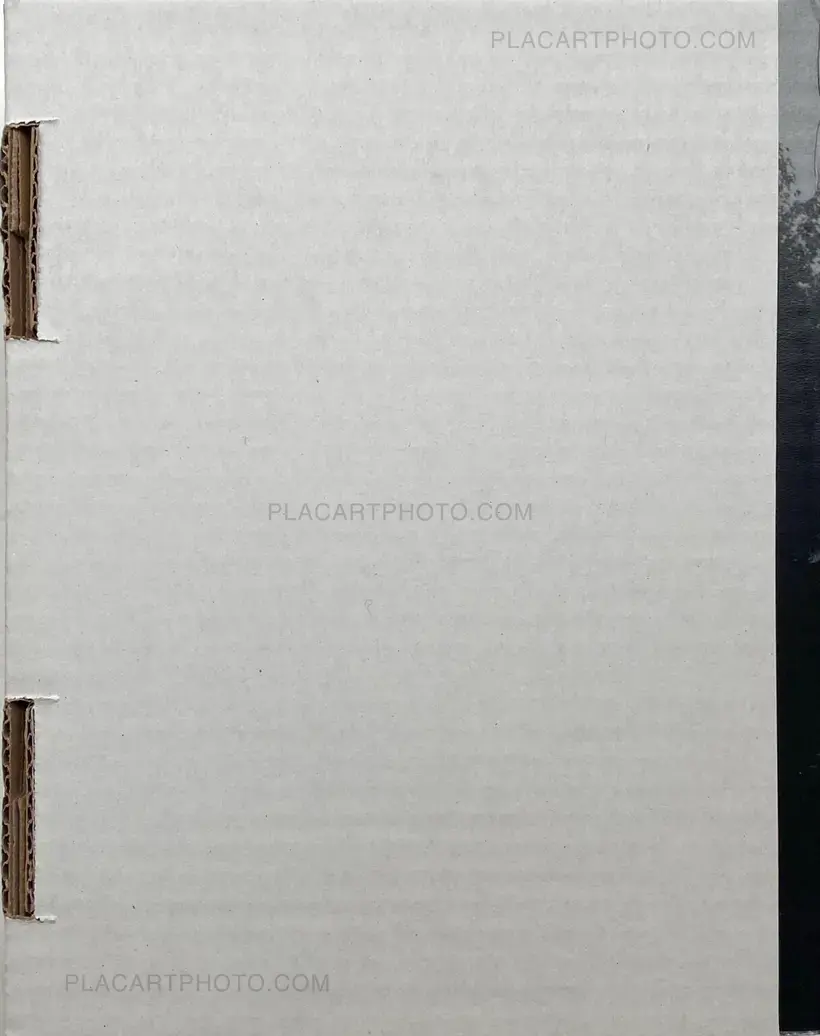 Valentino Barachini – CUORE VELATO (100 copies numbered and signed)