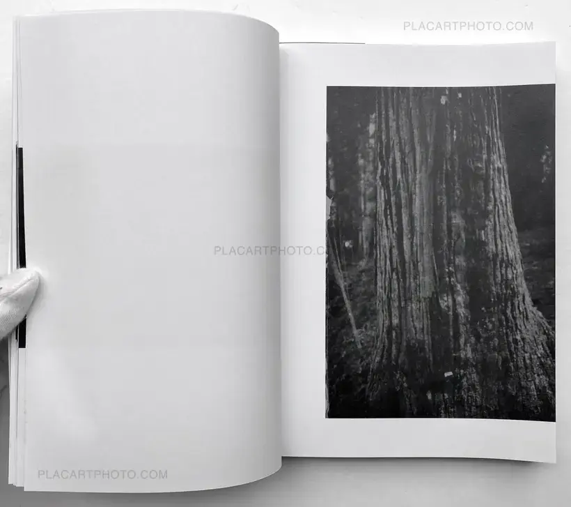 Valentino Barachini – CUORE VELATO (100 copies numbered and signed)
