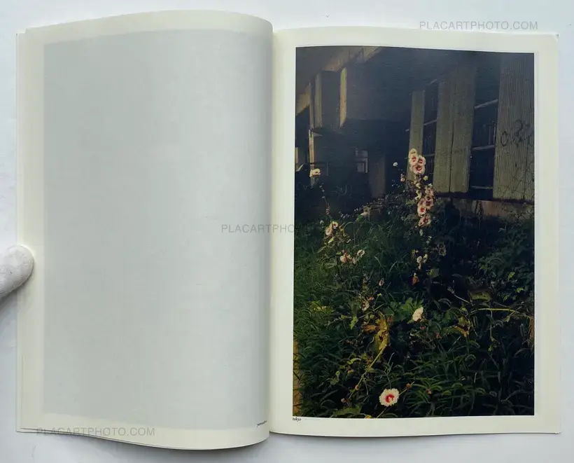 Valentino Barachini – CUORE VELATO (100 copies numbered and signed)