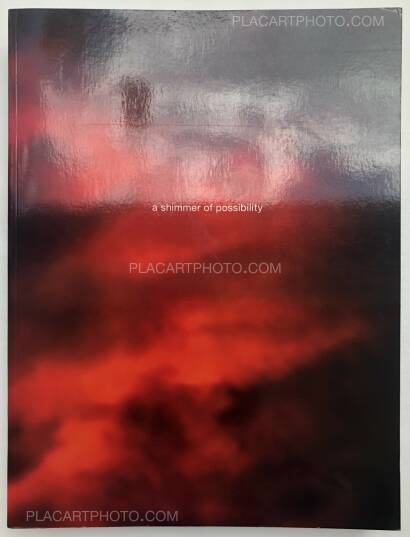Paul Graham,A Shimmer of possibility Paul Graham,A Shimmer of possibility