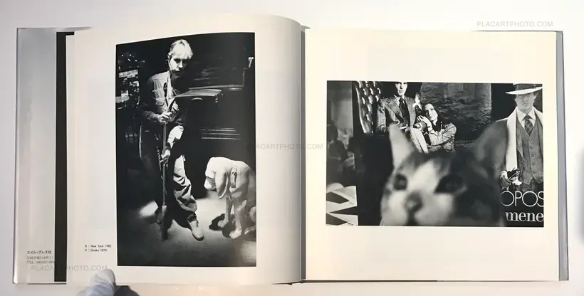Eimu Arino – Cities : Spaces between real and unreal (Signed)