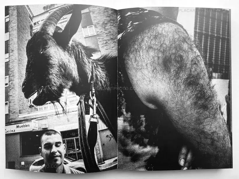 Pako Pimienta – Sizigia (signed copy)