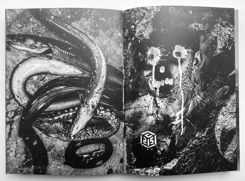 Pako Pimienta – Sizigia (signed copy)