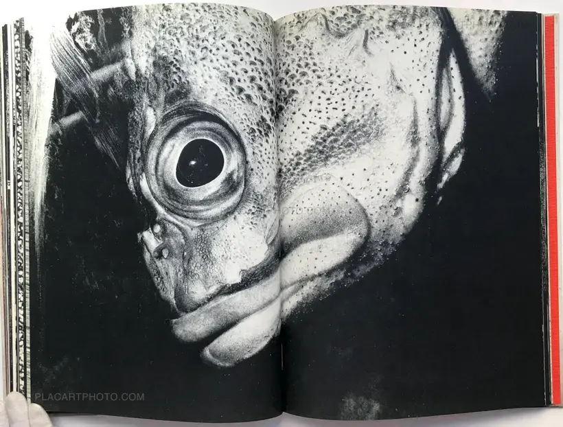 Osamu Takizawa – GESTATION OF A DREAM (Association copy)