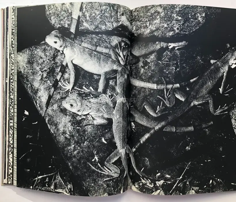 Osamu Takizawa – GESTATION OF A DREAM (Association copy)