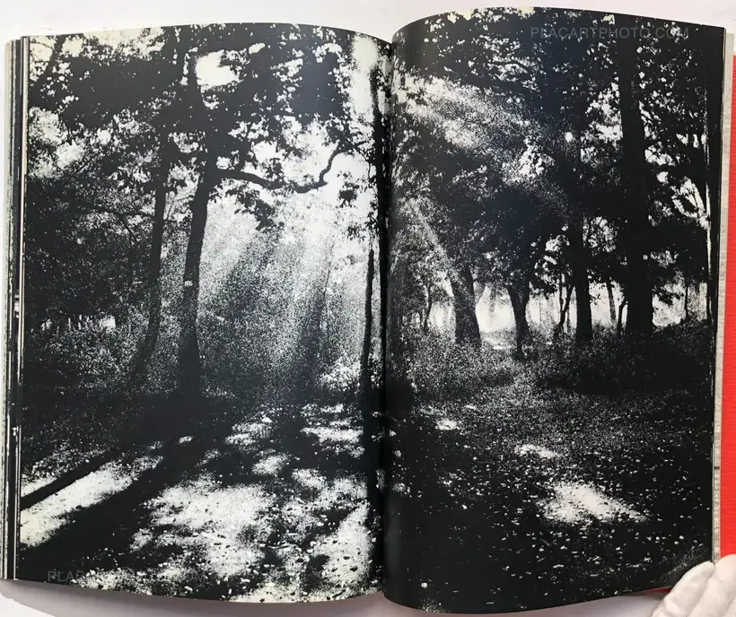Osamu Takizawa – GESTATION OF A DREAM (Association copy)