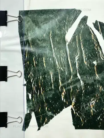 Daisuke Yokota – Film (Signed) 