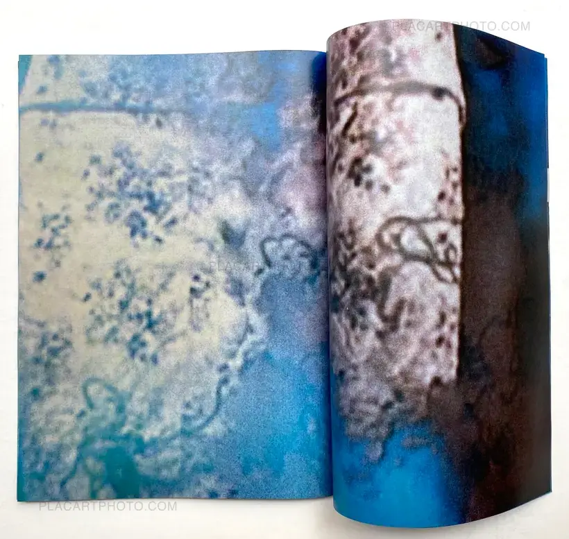 Daisuke Yokota – Room/ Rabbit (Signed)