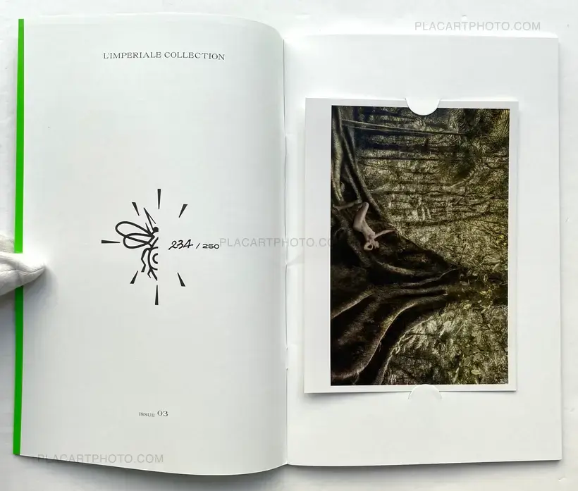 Cassio Vasconcellos – Dryads and Fauns (Limited Edition 250 Copies + signed C print)