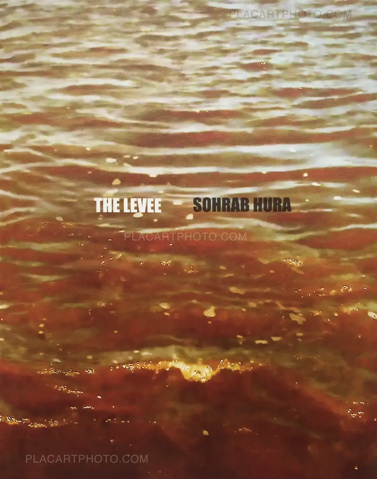 アート・デザイン・音楽 LIFE IS ELSEWHERE / Sohrab Hura SIGNED Sohrab Hura, The Levee (signed), ugly dog (self published), 2020