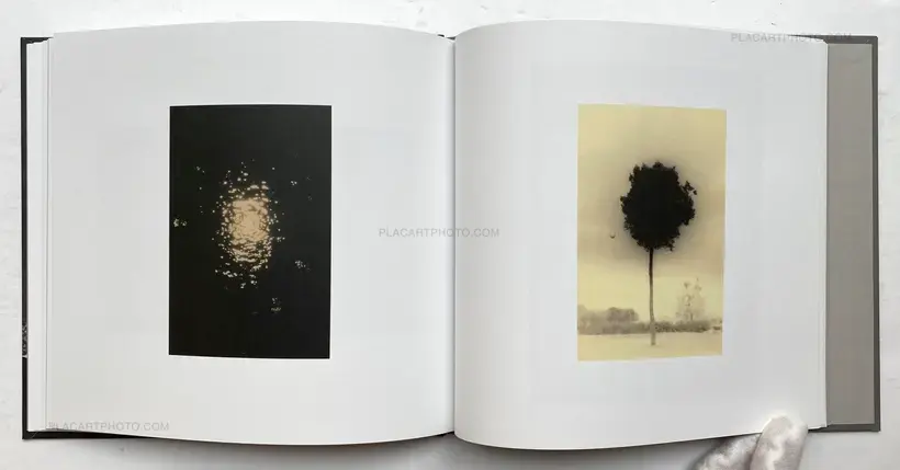 Masao Yamamoto – SASANAMI