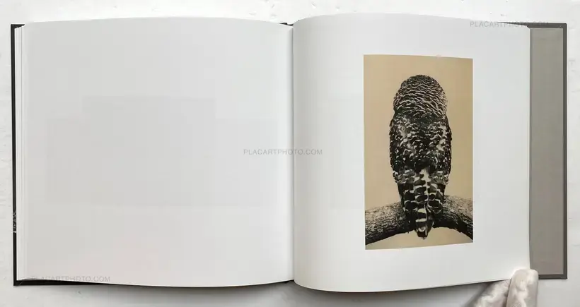 Masao Yamamoto – SASANAMI
