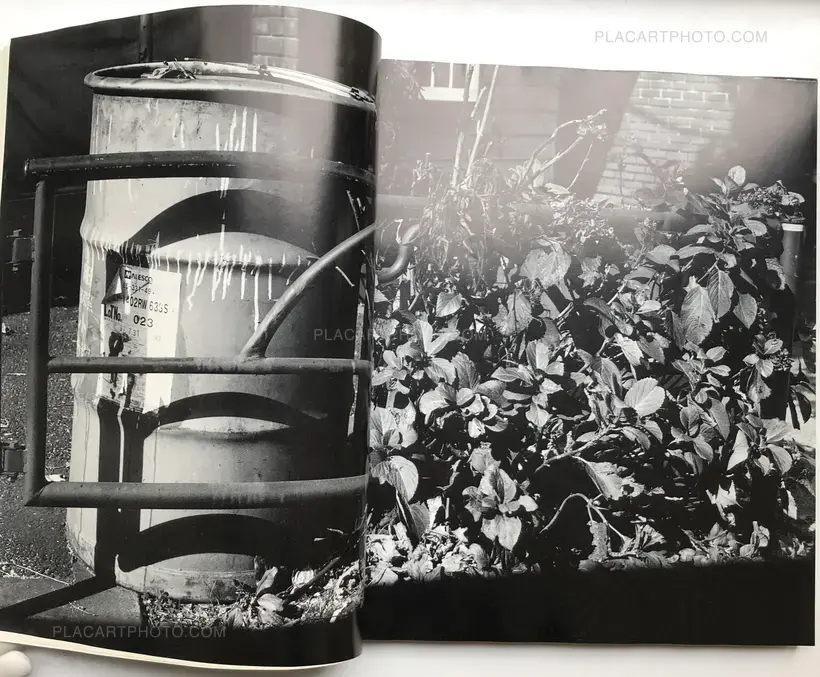 Nobuyoshi Araki – Ryuseki (flowing Stones)
