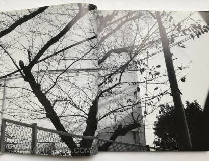 Nobuyoshi Araki,Ryuseki (flowing Stones)