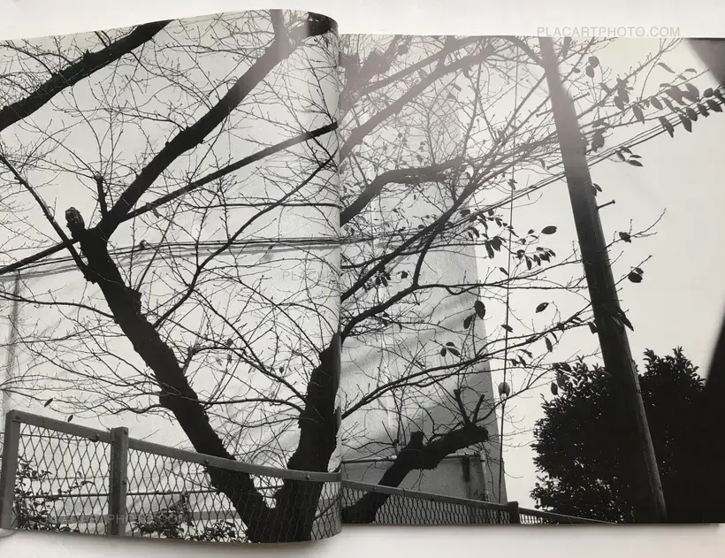 Nobuyoshi Araki – Ryuseki (flowing Stones)