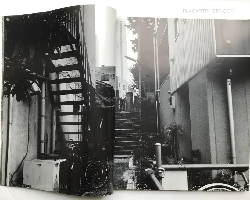 Nobuyoshi Araki – Ryuseki (flowing Stones)