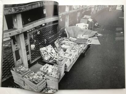 Nobuyoshi Araki,Ryuseki (flowing Stones)