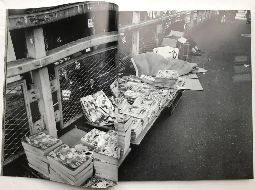 Nobuyoshi Araki – Ryuseki (flowing Stones)