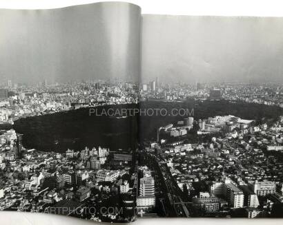 Nobuyoshi Araki,Ryuseki (flowing Stones)