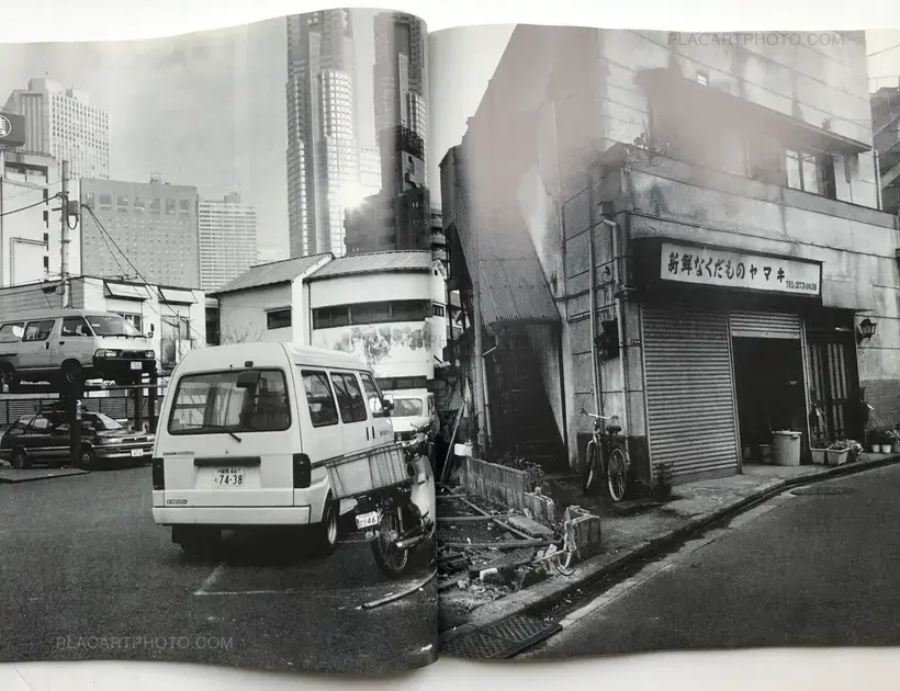 Nobuyoshi Araki – Ryuseki (flowing Stones)