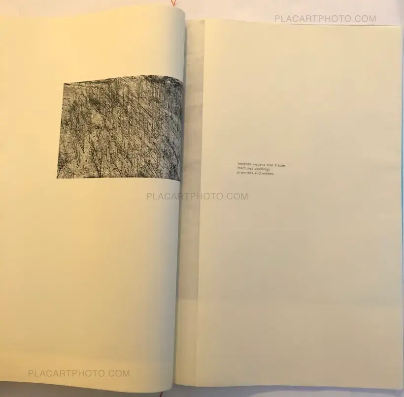 Margaret Lansink – BODY MAPS (NUMBERED AND SIGNED)