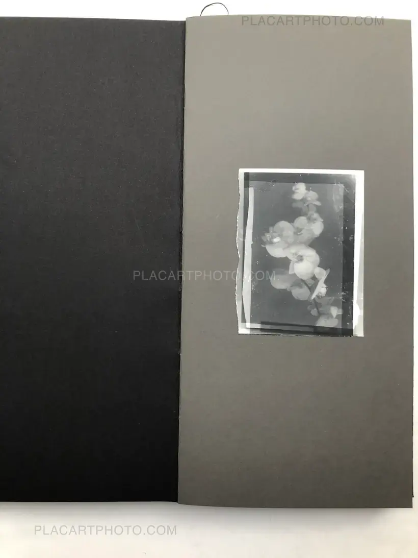 Laura Rodari – THE GRAY LINE (ARTIST'S EDITION OF 11)