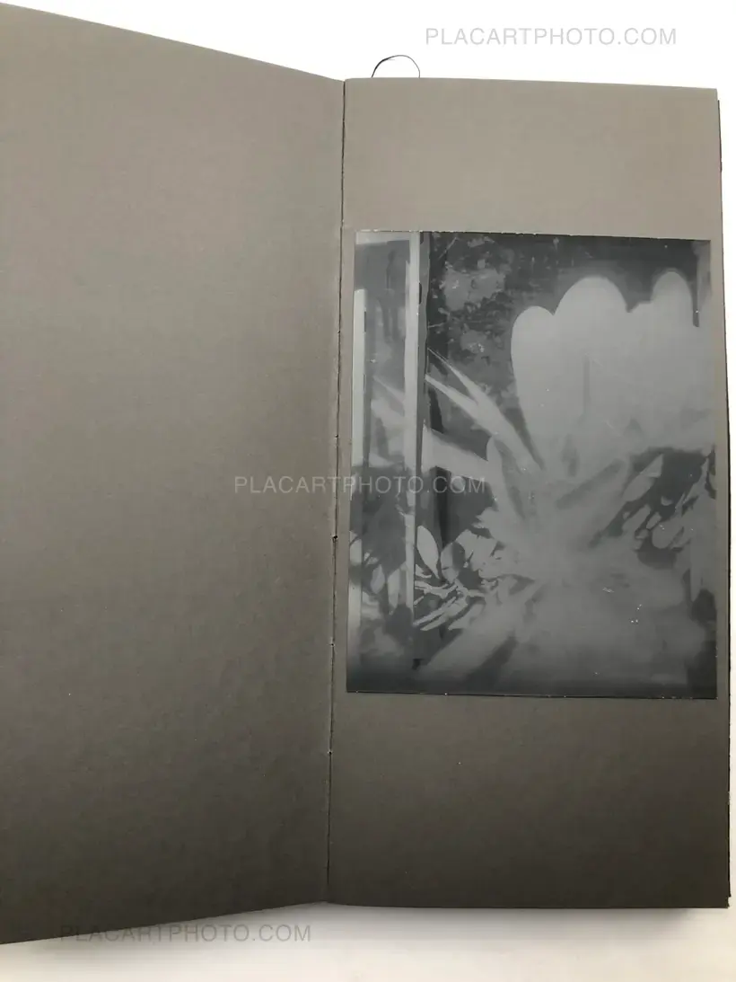 Laura Rodari – THE GRAY LINE (ARTIST'S EDITION OF 11)