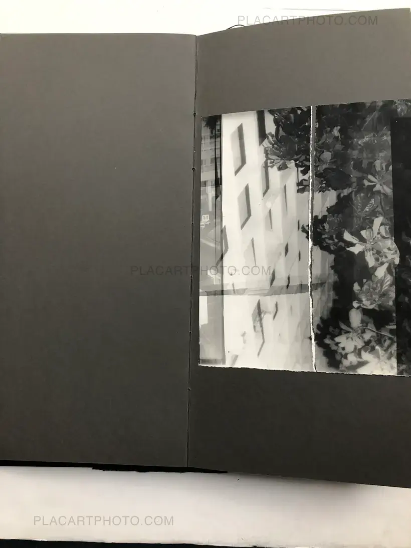 Laura Rodari – THE GRAY LINE (ARTIST'S EDITION OF 11)