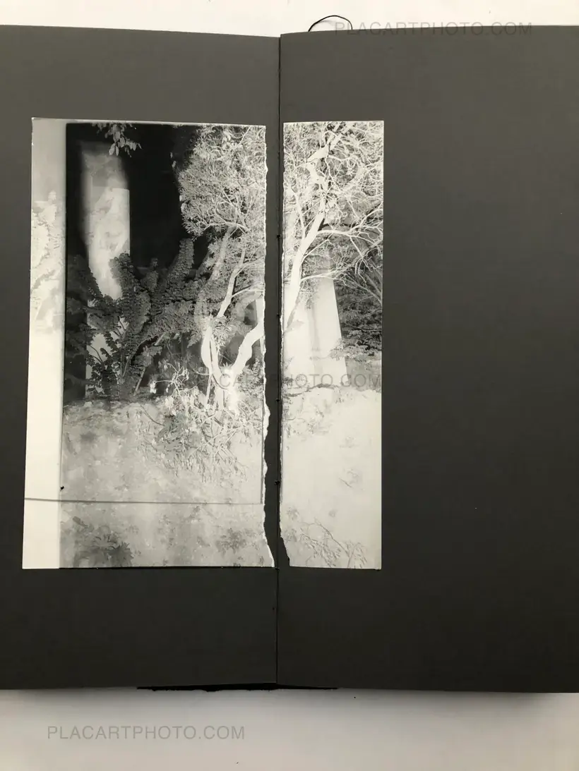 Laura Rodari – THE GRAY LINE (ARTIST'S EDITION OF 11)