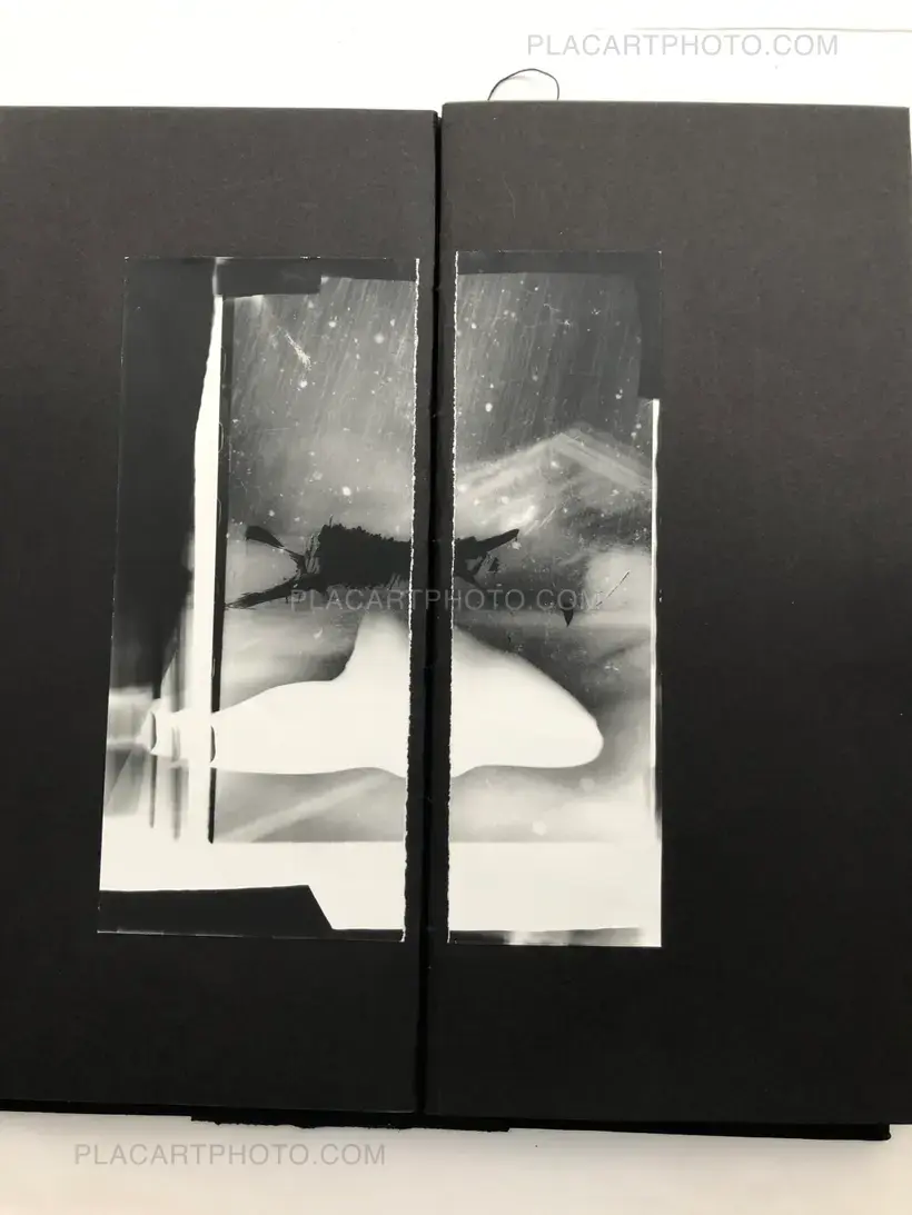 Laura Rodari – THE GRAY LINE (ARTIST'S EDITION OF 11)