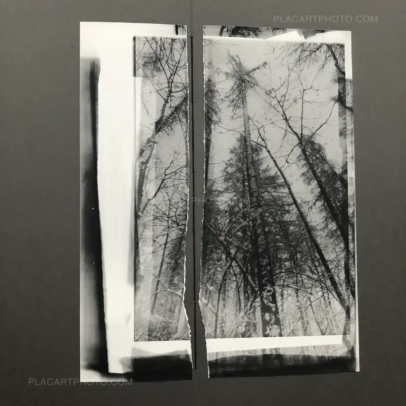 Laura Rodari – THE GRAY LINE (ARTIST'S EDITION OF 11)