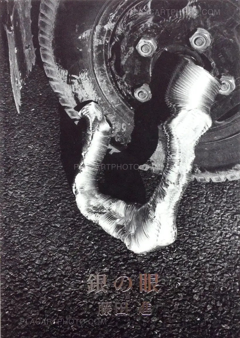Susumu Fujita – Silver Eye (Signed)