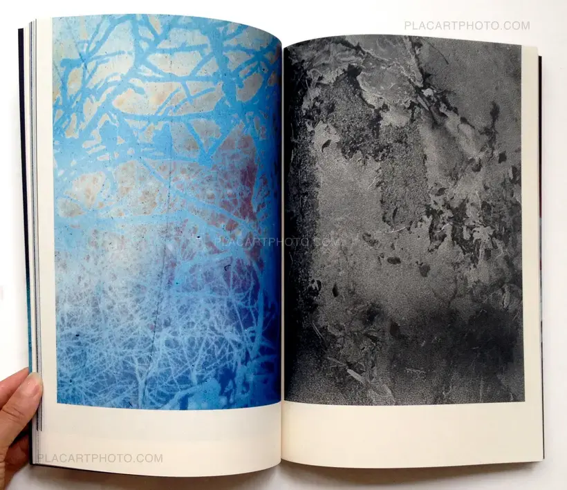 Daisuke Yokota – SET OF LINGER (SIGNED) + TEIKAI + IMMERSE (SIGNED)