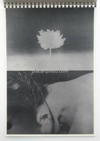 Daisuke Yokota,SET OF LINGER (SIGNED) + TEIKAI + IMMERSE (SIGNED)