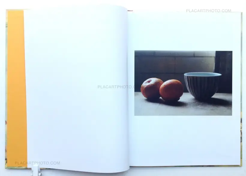 Daniel Blaufuks – This business of living